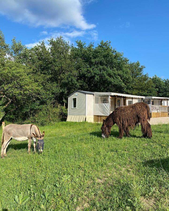 Camping De La Ferme Aux Anesses, Mobil Home Sofia2 Бресюир Экстерьер фото